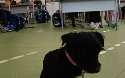 Posjet Pume iz azila Dumovec